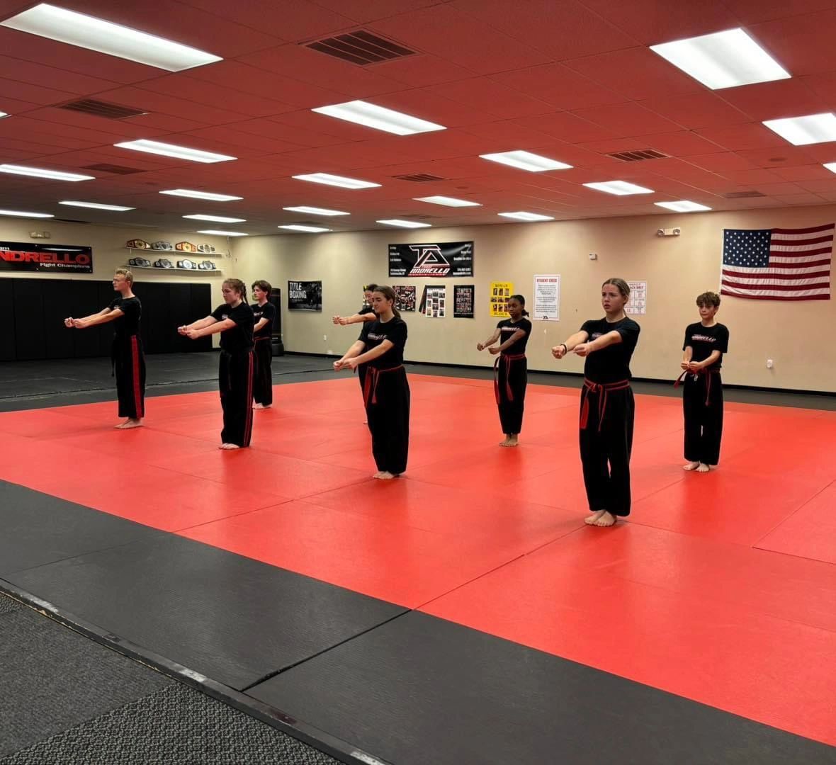 Kids Martial Arts at Team Andrello